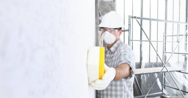 Best Black Mold Removal in USA